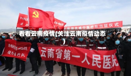 看看云南疫情(关注云南疫情动态)