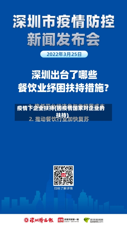 疫情下企业扶持(因疫情国家对企业的扶持)