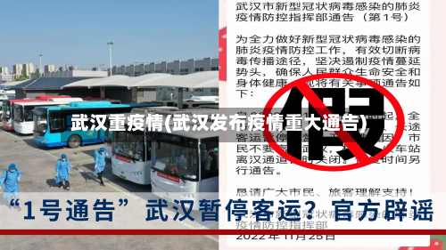 武汉重疫情(武汉发布疫情重大通告)