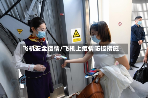 飞机安全疫情/飞机上疫情防控措施